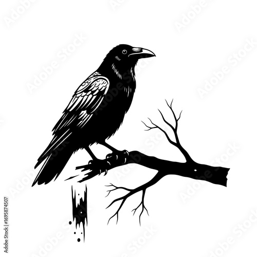 Mysterious raven perched on a stark branch in the pale moonlight, evokes a sense of foreboding and gothic elegance, perfect for fantasy novels or Halloween designs