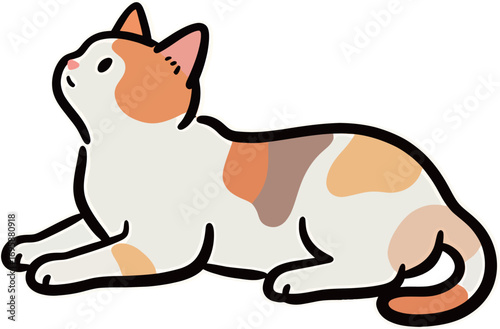 Adorable calico cat gazing upward with curiosity.