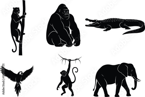 Wild animal silhouettes, jungle creatures vector, black wildlife icons, editable cartoon illustrations, tropical forest animals, stock design for print, web, education, decor