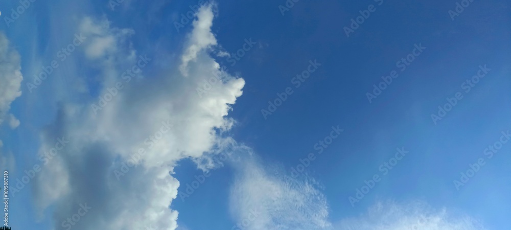 Fototapeta premium clouds in the sky