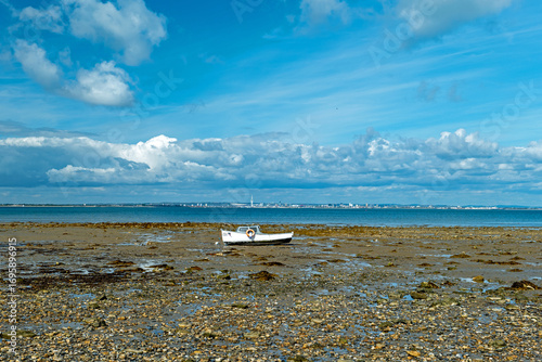 beach with blue sky and clouds
