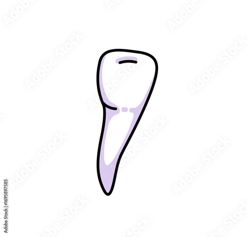 Tooth cartoon outline icon. Cute vector isolated illustration.