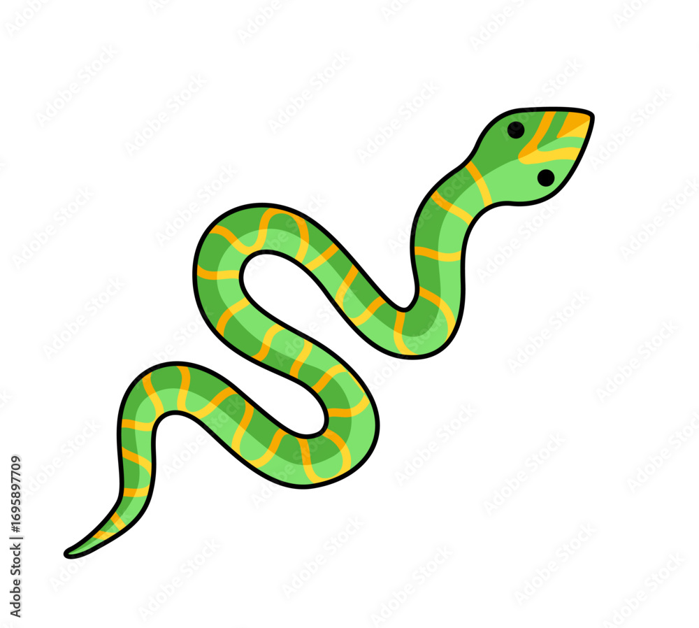Naklejka premium Green snake cartoon character. Vector isolated illustration.