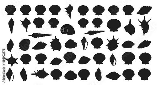 various shell silhouettes arranged neatly in rows and columns