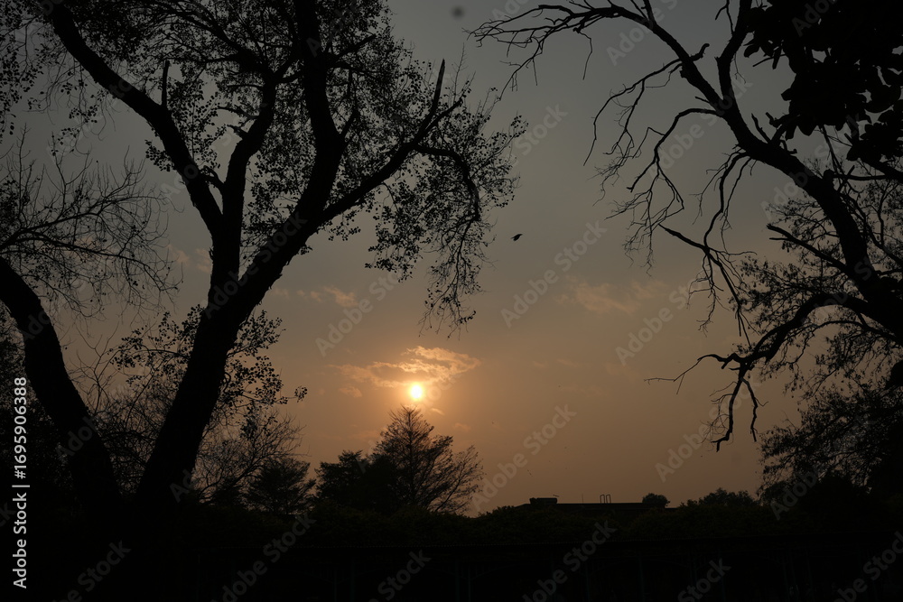 Fototapeta premium Sun hiding with small clouds with trees in picture