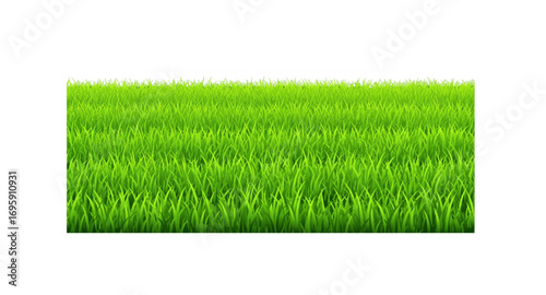 Green meadow