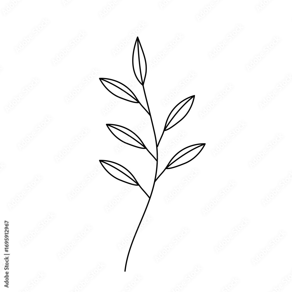 Fototapeta premium Plant