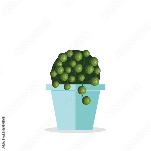 Chinese Money Plant Decorative Plant on a Pot Colored Flat Illustration
