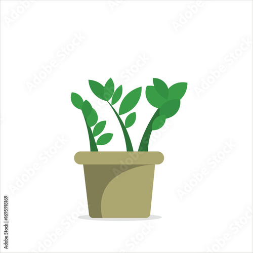 Zamioculcas Zamiifolia Decorative Plant on a Pot Colored Flat Illustration