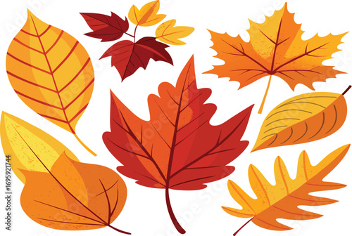 Collection of colorful autumn leaves in warm fall colors
