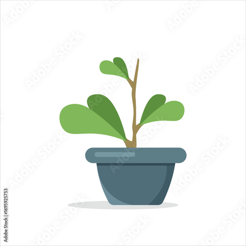 Hoya Kerri Decorative Plant on a Pot Colored Flat Illustration