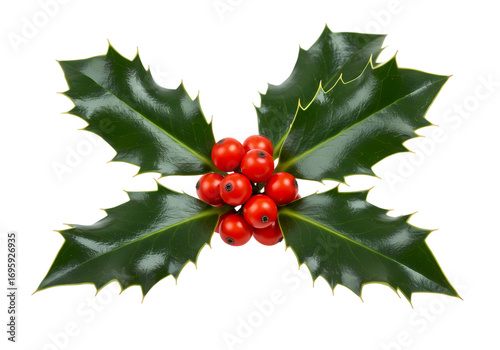 Christmas Holly Sprig: Festive Red Berries and Green Leaves isolated on transparent background
