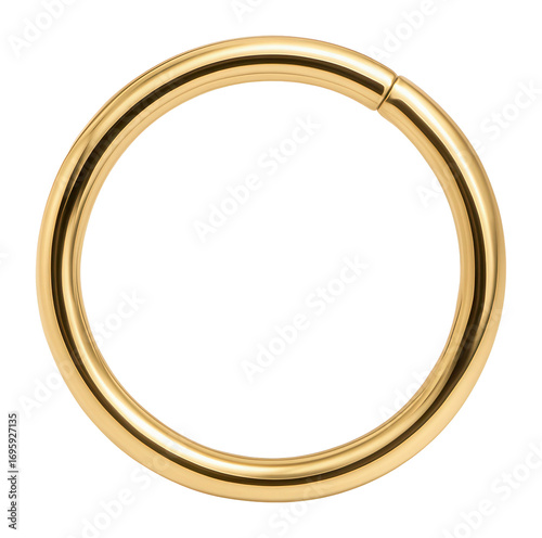 Wallpaper Mural Gold hoop nose ring with a seamless closure Torontodigital.ca