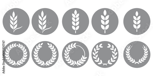 Wheat ear icons set vector silhouettes. Black wheat spikelet vector collection. Set of wheat stalk. Cereal plant silhouettes. Wheat silhouettes. Wheat vector icons. Design eps 10