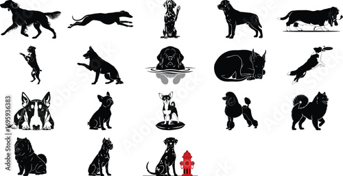 Dog breeds silhouette collection vector image