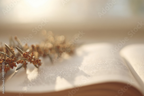gentle beam of light cascades onto pages of christmas psalm creating sacred atmosphere