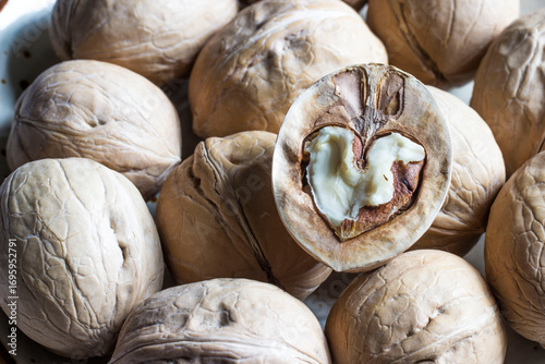 a favorite delicacy. vegetarian food. a source of vitamins and trace elements. walnut.