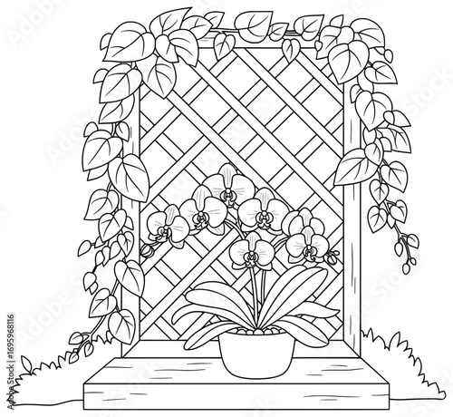Orchid vector illustration with blooming flowers arranged in a pot placed before a wooden trellis decorated with leafy vines and outdoor garden elements as decorative design