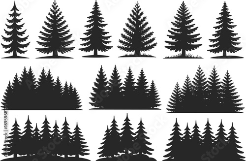 Pine tree forest silhouette set, flat vector illustration, evergreen trees collection, nature elements, black tree icons, isolated landscape design
