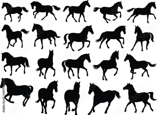 Collection of black horse silhouettes in various poses, running, standing, galloping, vector design, equine shapes, wild horses, animal illustration, flat vector illustration