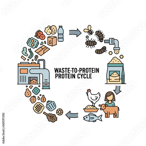 Circular diagram illustrating the waste-to-protein cycle, showing the conversion of food waste into protein for animal feed.