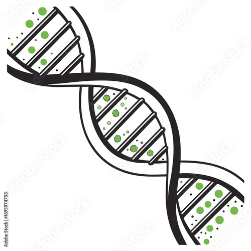 Illustration of a dna molecule, showcasing the building blocks of life and the marvels of genetic engineering and research