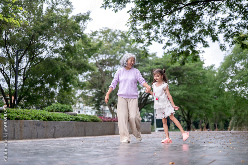 custom made wallpaper toronto digitalOld woman grandmother holding hand with kid girl granddaughter while walking on pavement in park.
