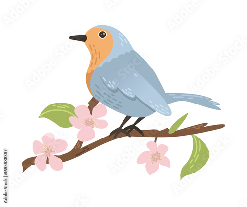 Bird robin with cherry branch.  Flat vector illustration.
