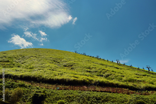фотографія green hill