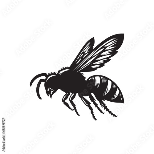 Hornet Insect Silhouette Vector Graphic Isolated on White.