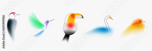Bird toucan, woodpecker, hummingbird, swan. Set of character design. Creative art minimal composition with gradient blurred and line elements. Modern colorful abstract fashion vector illustration.