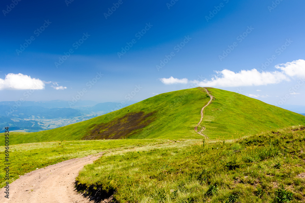 Fototapeta premium mountain trail to the top of the summit. summer travel landscape under deep blue sky with fluffy clouds. sunny weather. borzhava ridge of transcarpathia, ukraine