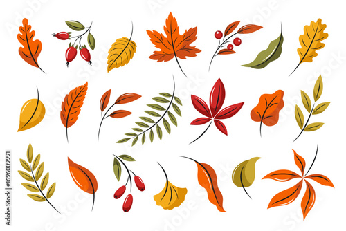 Autumn leaves. Set of hand drawn  leaves  maple, chestnut, oak and berries. Seasonal natural design elements. Vector illustrations