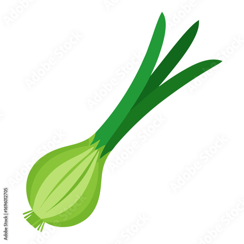 Fresh green scallion or spring onion vector on white background.