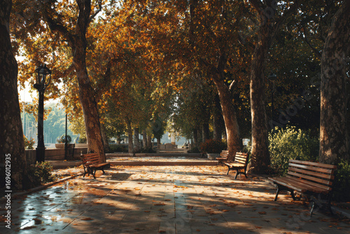  Autumn trees line a wet park path with park benches and street lights in the late afternoon