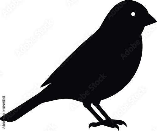 vector illustration of a bird on transparent background