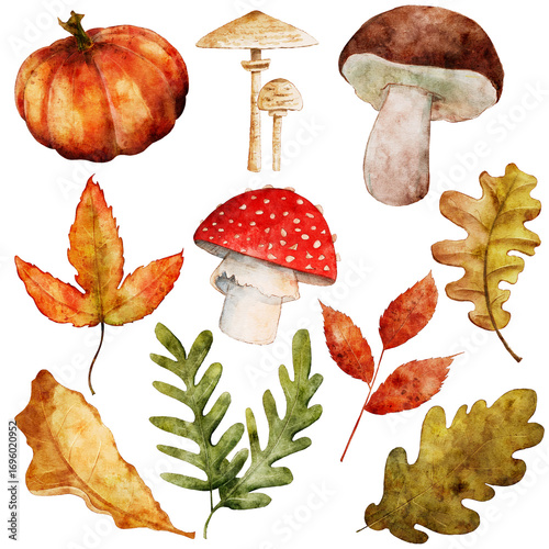 Autumn Seasonal Leaves and Mushrooms Watercolor Clipart Set
