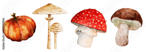 Botanical Watercolor Forest Mushrooms Clipart PNG