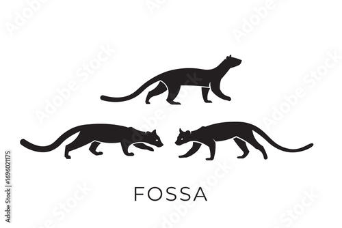 Fossa silhouette logo, fossa vector illustration logo