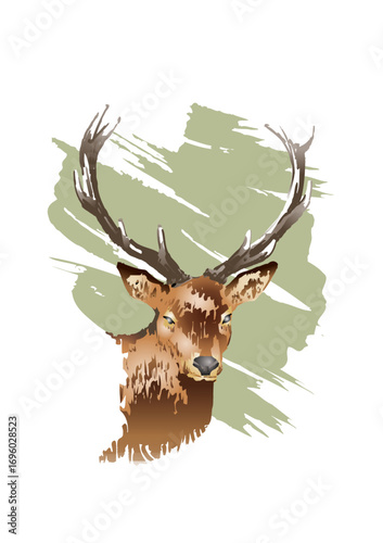 Beautiful red deer with large antlers drawn in a naturalistic style on a green graphic background