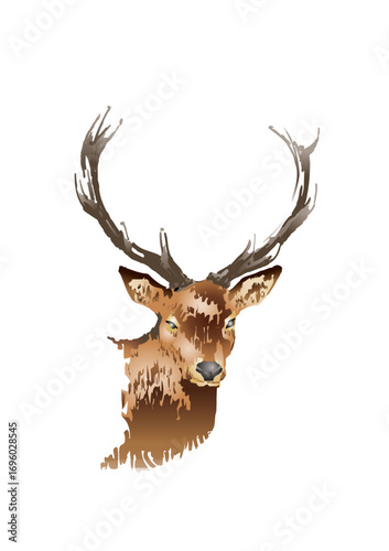 Beautiful red deer with large antlers drawn in a naturalistic style