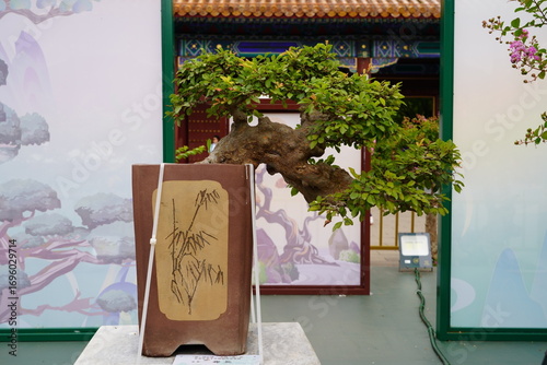 China - The Forbidden City (Beijing)