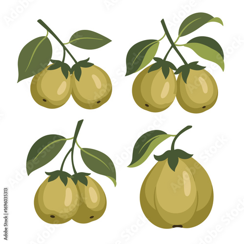 Sweet golden pears hanging on green leafy branches in a set of four different arrangements