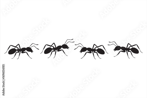 Black Ant Silhouette Vector Icons on White Background