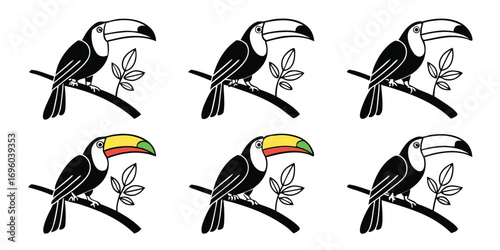 colorful-toucan-vector---icons-set---6-minimalist-