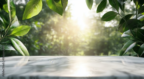 Nature Backdrop With a Bright Sunlight Casting Through Leaves Onto a Stone Su...