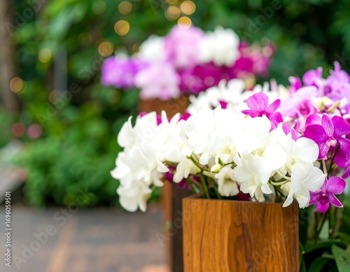 Vibrant orchid display in a garden setting