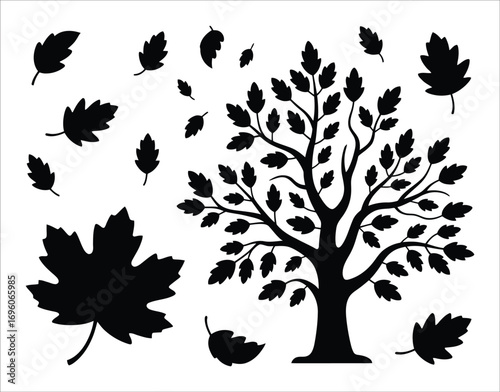 Autumn Leaves Silhouette Collection