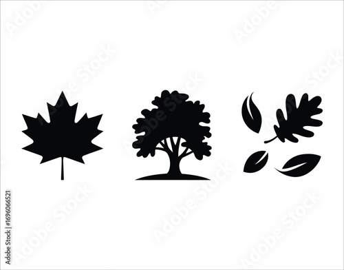 Maple Leaf Oak Tree Falling Leaves Bundle