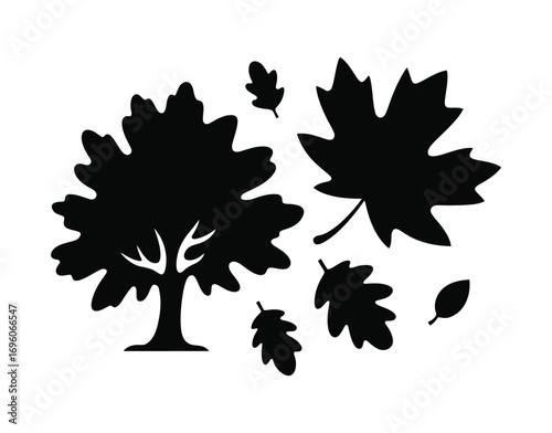 Maple Leaf Oak Tree Falling Leaves Graphics